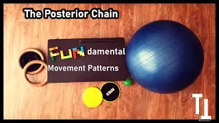 Posterior Chain Fundamental Movement Patterns (How to train it, what it is, which movements etc.)