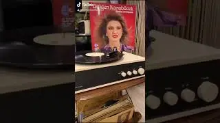 Gülden Karaböcek/Yanancı değiliz.