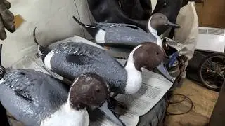 Покраска чучел уток!