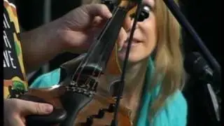 Виолина Денс Learnmusic 7/9 Электроскрипка, виды, формы