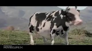 Super sigir 😂🤣🤣