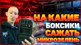 Какие боксы нужны для выращивания микрозелени? Бизнес микрозелень!