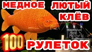 МЕДНОЕ ЛЮТЫЙ КЛЁВ 🔴 ПРЕМЫ В БОКСАХ 💥 В  РУЛЕТКЕ - РАПТОР, ВЕНГА 🎁 ТУРНИРЫ + РОЗЫГРЫШИ  💥СТРИМ РР4