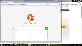 How to hide/change IP adress with Tor browser