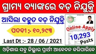 Odisha Gramin Bank Big Vacancy 2021 ! Total Posts : 10,293 ! Odisha Govt Jobs 2021 ! Odisha Job