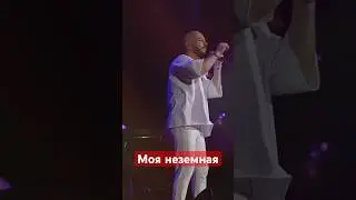 Зажгли всем залом  #ярославсумишевский