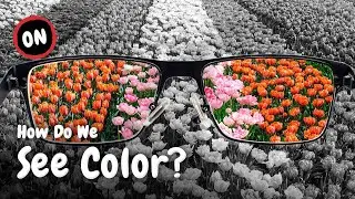 Are You Color Blind?