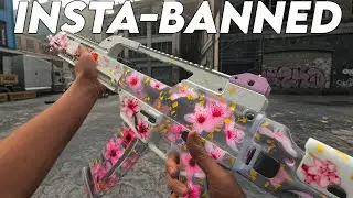 I turned this new LMG into an AR and got BANNED after this...