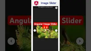 Angular responsive image slider  | Learn Angular | CGuider 