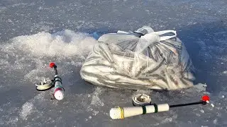 Рыбалка на корюшку/Ушково/Врубило сумасшедший клёв!!!