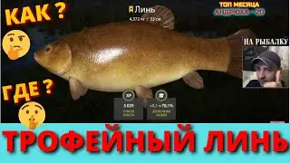 ЛИНЬ ОСТРОГ КАК ЛОВИТЬ ТРОФЕЙНОГО ЛИНЯ - СТАРЫЙ ОСТРОГ ✅ РУССКАЯ РЫБАЛКА 4 ✅ ТРОФЕЙНЫЙ ЛИНЬ 🔴
