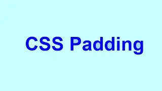 Learning CSS Padding in Detail