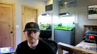 JJ Aquariums Live Stream QNA