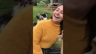Попробуй переспорить