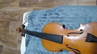новое видео. новый проект. ремонт скрипки 1/2 и 3/4