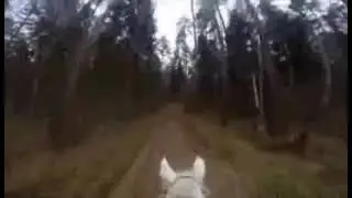 Пошло всё в жопу, сяду на коня