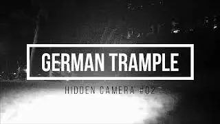Candid camera trample at festival