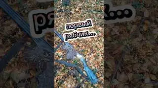 один день осени. охота в тайге.