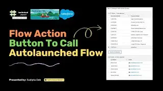 How To Call Autolaunched Flow Using Action Button | Summer 24 Release