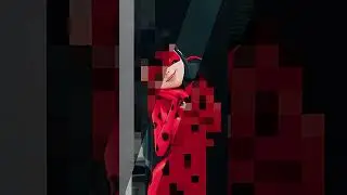 Ladybug and Shady Bug 