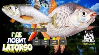 Русская рыбалка 4.🎣🦈 р. Северский Донец 🐟🐟💦 ГДЕ ЛОВИТ LATORSO 👀