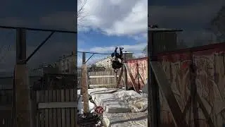 Бек ту бек 