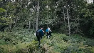 POV: you decide to go sleep in the woods for a night
