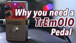 Why You Need a Tremolo Pedal