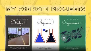 My CBSE (12th) Practicals | Term I | Investigatory Project File | Projects for 12th