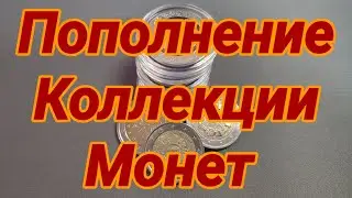 Пополнение Коллекции Монет (2023 год)