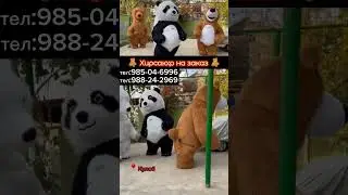 Номерҳо барои заказ👌🏻985-04-6995🧸Хирсакхо барои 💍Туйхо, 🎁Зодрузхо,💌 