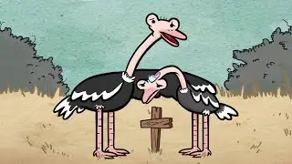 Ostrich Heaven
