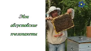 Августовские пчелопакеты