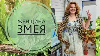 Террариум в Костанае