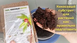 Как правильно приготовить кокосовый субстрат для посадки растений