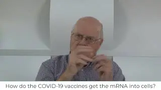 Video 9: How do the COVID 19 vaccines get the mRNA into cells?