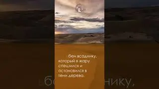 Человек    подобен всаднику / 