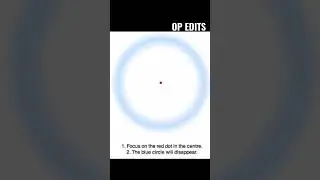 OPTICAL ILLUSION THAT MAKE THINGS DISAPPEAR