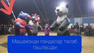 Пандаларни машани уриб ташлаганини куринг