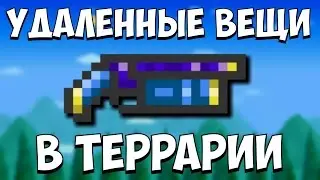 УДАЛЕННЫЕ ВЕЩИ В ТЕРРАРИИ (РИМСКАЯ СВЕЧА)