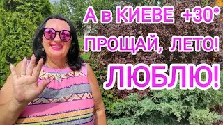 ПРИЕХАЛИ из Болгарии, а тут... ОЧЕНЬ громко! ВЫВОДЫ о Болгарии. НАШ КОТ в больнице! Украина 2024