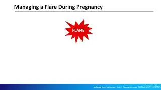 Session 3, Hot Topic  IBDandPregnancy