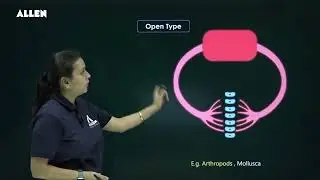 Circulatory pathways explained | New Course Launch | Target NEET 2025