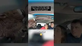 Her reactions are hilarious 😂😂