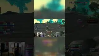 AFK in Mid Raid on My Pally