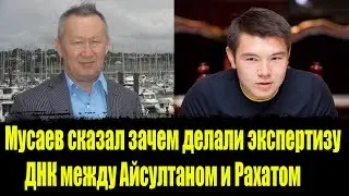 Альнур Мусаев обьяснил для чего делали экспертизу ДНК.  Айусултан Назарбаев последние новости.