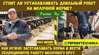 Почему заготовка кормов важней генетики? Российский доильный робот словно Волшебник? Молочная ферма.