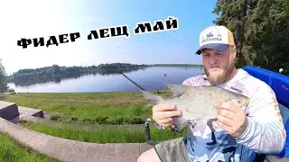 Фидер, Лещ, Май. Рыбалка в Дубне на Волге