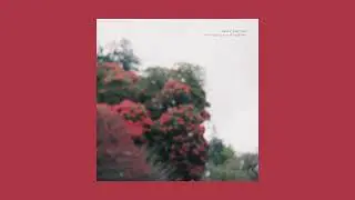 Swiss Portrait - The Crippling Pain of Happiness (Full Album)