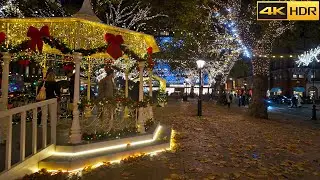 London's Posh Christmas Lights - 2024 🎄 Walk from Harrods to Kings Road - Chelsea [4K HDR]